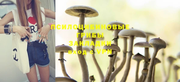 стафф Абдулино