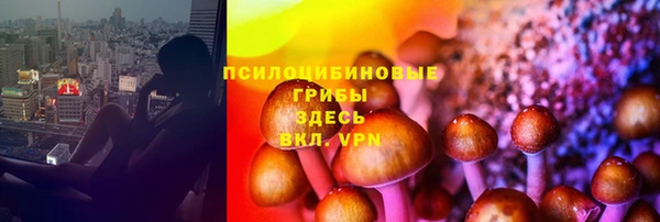 стафф Абдулино