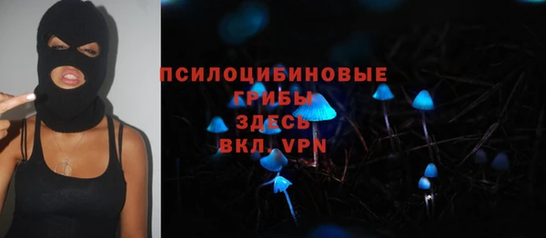 стафф Абдулино