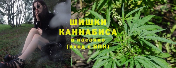 PSILOCYBIN Абаза