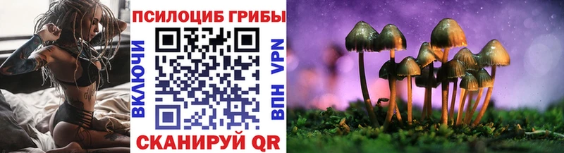 как найти   Североморск  Галлюциногенные грибы GOLDEN TEACHER 
