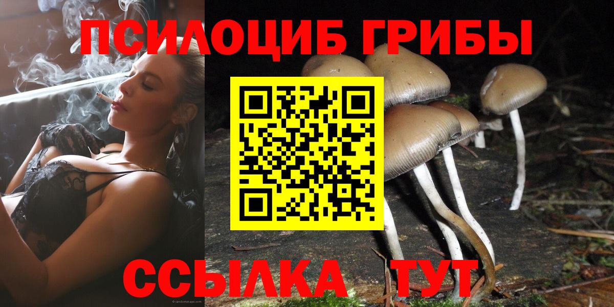 Галлюциногенные грибы мухоморы  Галлюциногенные грибы MAGIC MUSHROOMS  Североморск  сколько стоит  Вход с VPN 